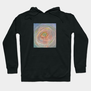 Swirled visions Hoodie